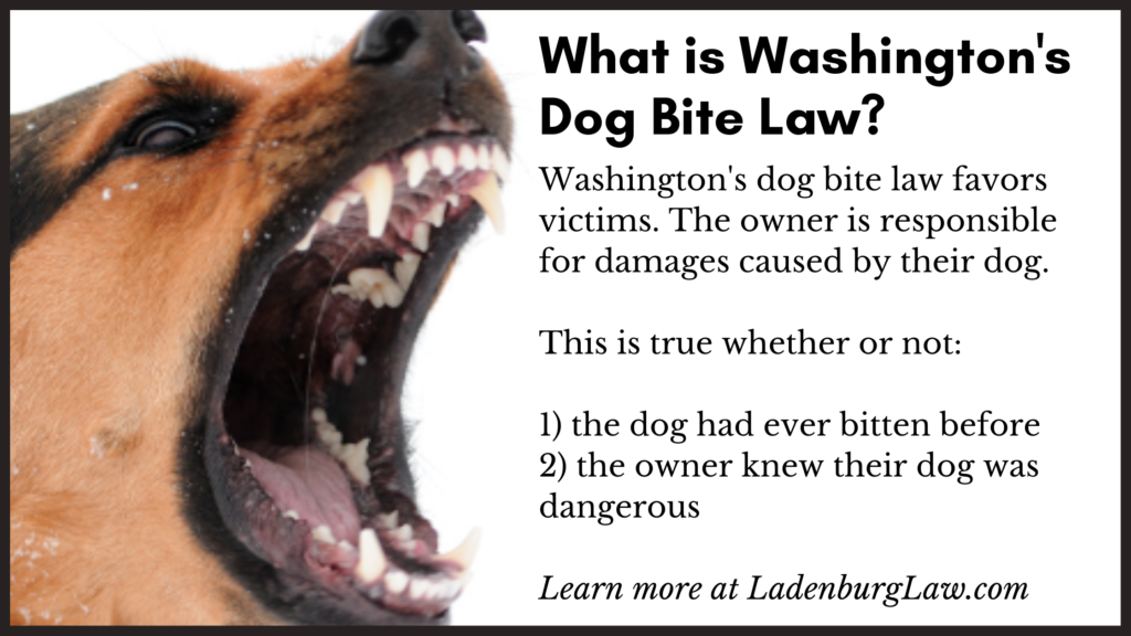 Explanation of Washington State Dog Bite Law